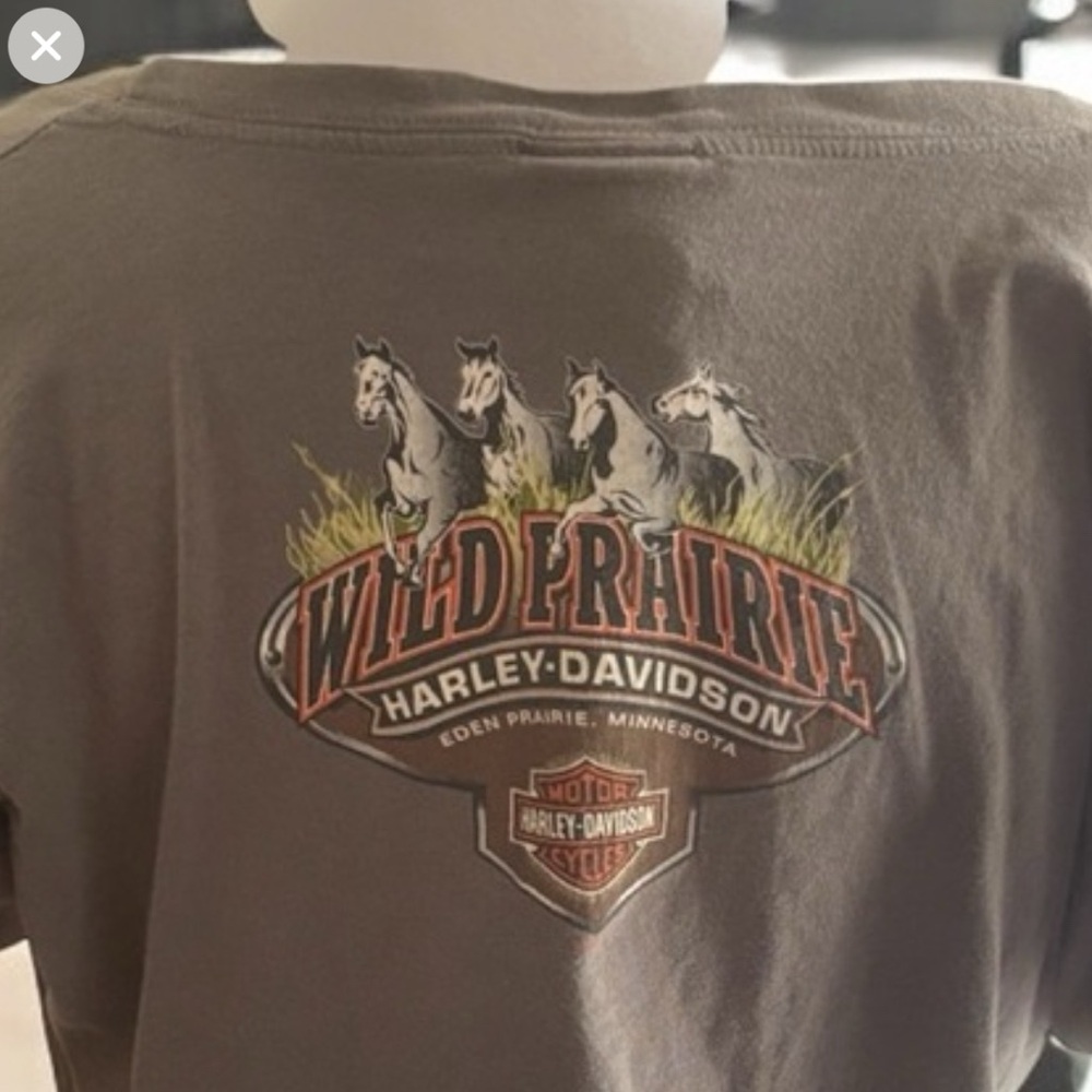 Harley-Davidson Wild Prairie Gray Tee L